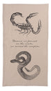 Penny Dreadful Scorpion Tea Towel - museum of robots