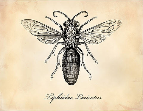 Wasp - museum of robots